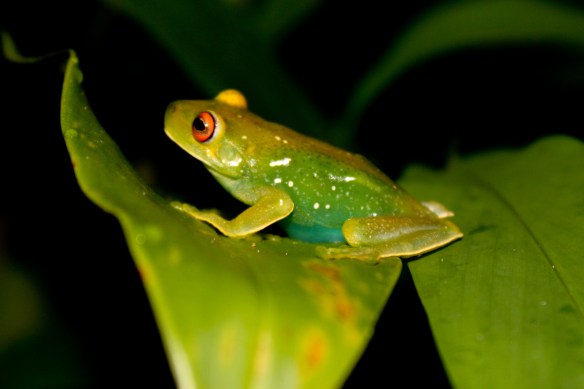 ibitipoca_2010_01_30_192