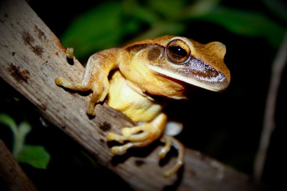 Mathias_2010_01_27_013