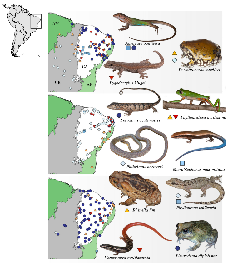 Screenshot from 2018-04-12 12-15-07